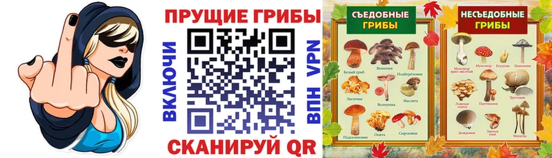 Галлюциногенные грибы Cubensis  наркошоп  Барыш 